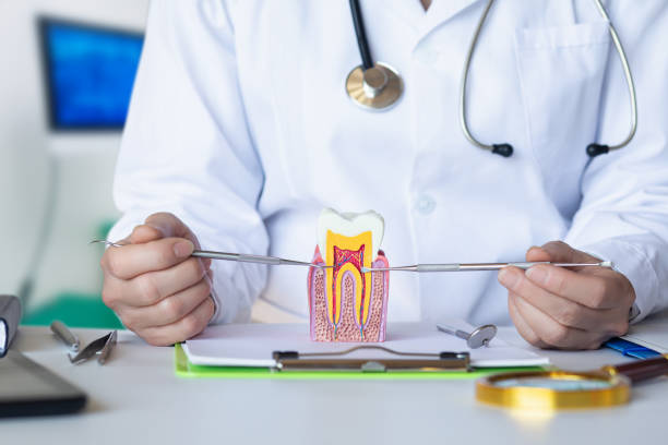 Best Dentist for Tooth Abscess  in Foscoe, NC